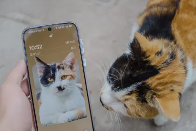 Vesper Kasino Mobiilisovellus